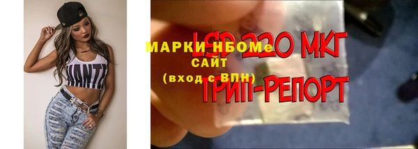 таблы Снежинск